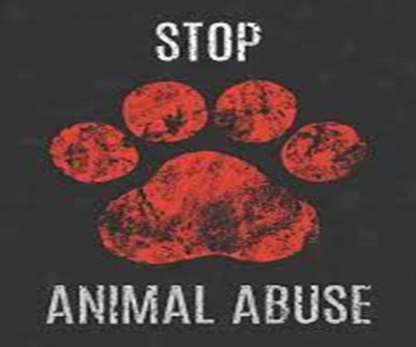 An overview of Animal Abuse and laws protecting Animal abuse